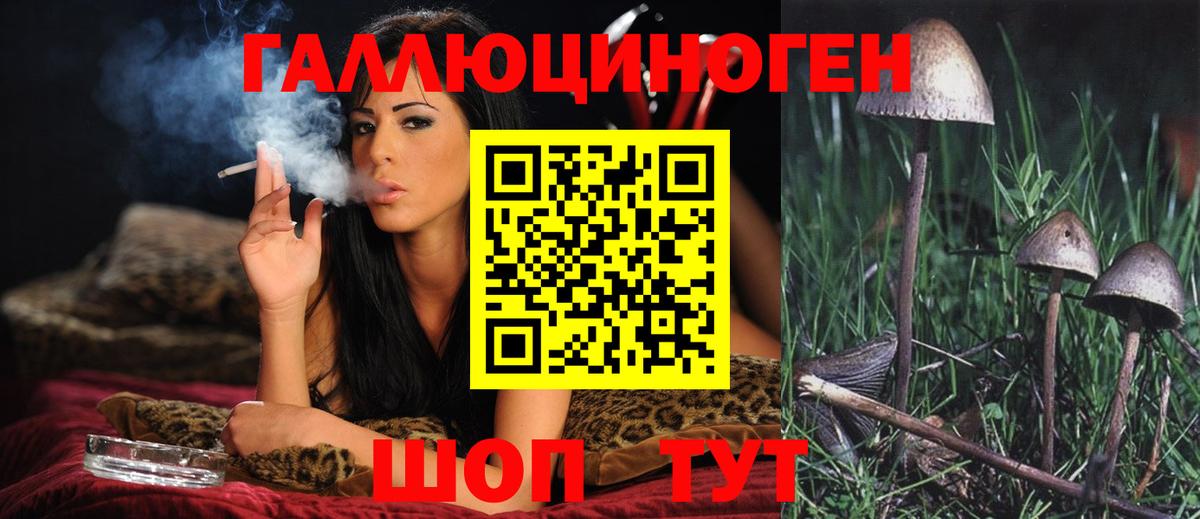 Галлюциногенные грибы GOLDEN TEACHER  Вход с VPN  Галлюциногенные грибы прущие грибы  Кушва 